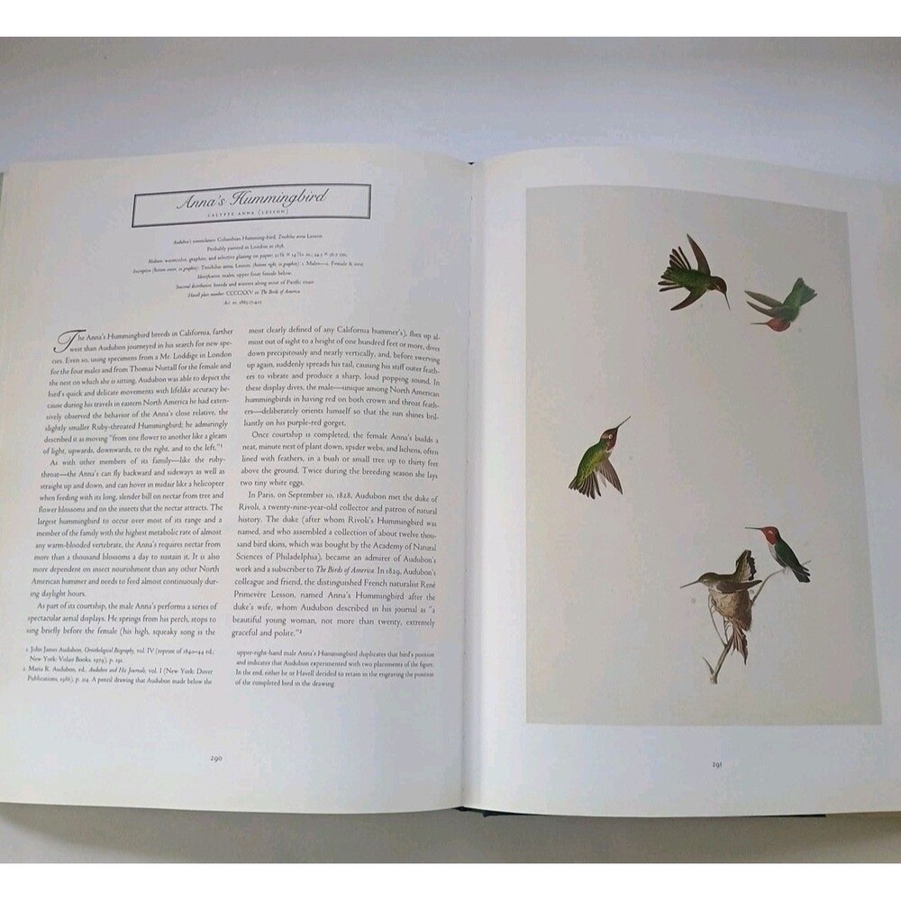 The Watercolors for the Birds of America- Audubon HC/DJ 1993 1 st Ed/2nd prtg - Picture 12 of 16